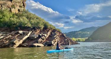 Stand Up Paddle Board