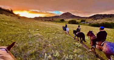 looking between horses ears of sunset and other riders riding through grassy mountains