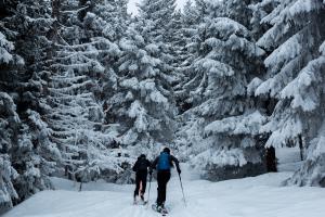 Winter Ski