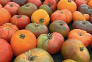 29 Palms Certified Farmers Market