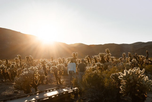 Wild Hearts: A Joshua Tree Couples Retreat