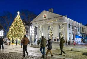 People looking at the Christmas Tree in front of Quincy Market