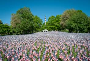 American flags displayed in the Common on Memorial Day weekend