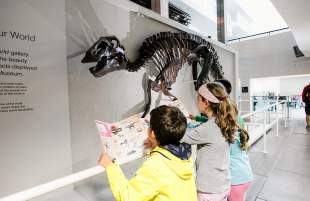 Visitors enjoying the Edmontosaurus dinosaur; the only real near complete dinosaur skeleton display at the Ulster Museum, Belfast.