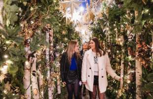 Christmas and New Year