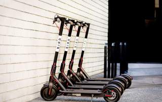 Bird Scooters Parked in a Row