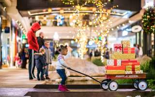 A child pulling a radio flyer wagon full of presents with shoppers in the background