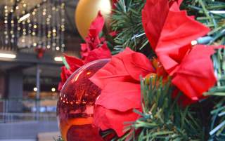 Trolley Square Christmas