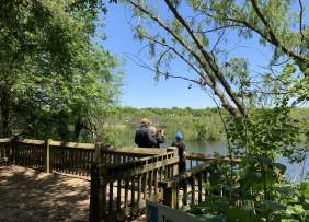 Group bird watching on walkway in Beaumont