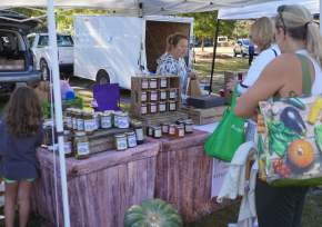 Harvest Market
