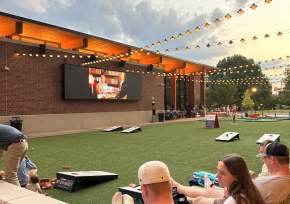 Hey Day Market Movie on Greenspace