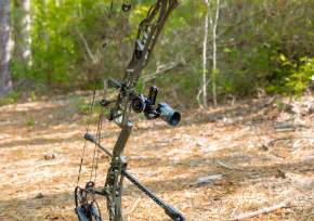 Archery - Bow in Woods