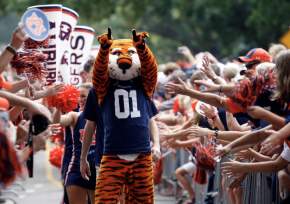 A brief history of Aubie the Tiger