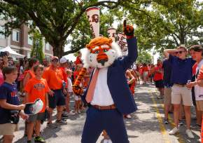 Tiger Walk