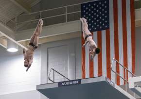 USA Diving