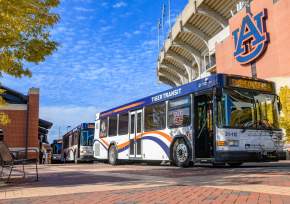 tiger transit busses in front of stadium