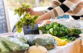 Farmers' Markets