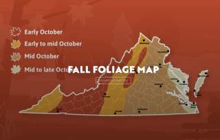 Virginia.org Fall Foliage