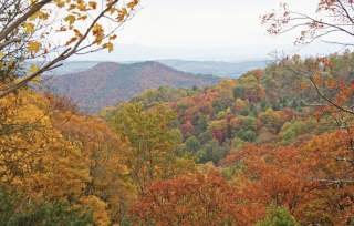 Virginia Department of Forestry Fall Predictions