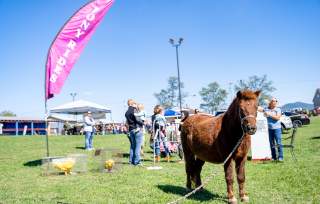 Page County Heritage Festival