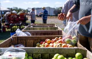 Page County Heritage Festival