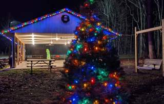 Christmas Tree Lighting at Big Gem Park