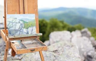 Artist in Residence Public Program with Nyssa Collins