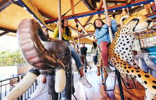 Hogle Zoo Carousel
