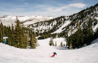 Solitude Skier