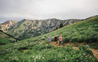 3 people hiking on a path through the wildflowers with mountains in the background
