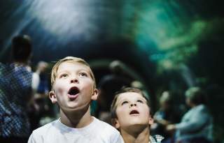 Kids at the Loveland Living Planet Aquarium