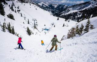 Ski 3 2019