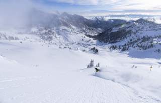 Snowbird SnowCat Skiing