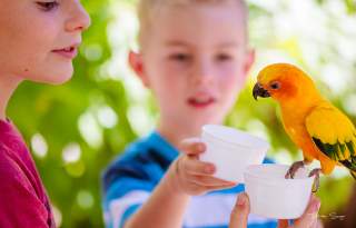Tracy Aviary