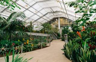 Butterfly Biosphere