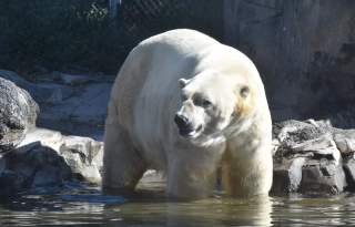 Utah's Hogle Zoo