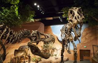 Museum of Ancient Life at Thanksgiving Point