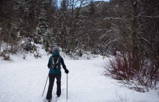 Millcreek Canyon