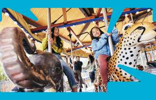 Salt Lake Family Faves