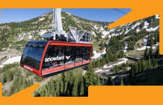 Uniquely Salt Lake Pass