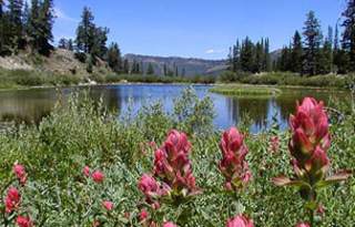Silver Lake/Lake Solitude