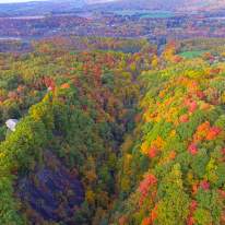 A Guide to All Things Autumn