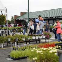 landscape photo of CNY Regional Farmer's Market in Syracuse. People are shopping and looking at flowers.