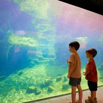 Summer Camps in Syracuse for Kids