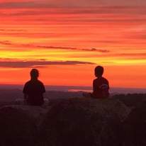 Where to Celebrate Spring in Syracuse, NY