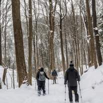 January Events in Syracuse