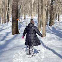 Woman snowshoeing at Beaver  Lake nature center, she's walking away from the camera