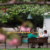 Couple sitting on park bench at Franklin Square Syracuse