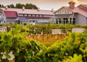 Harvest Ridge Winery outdoor shot of property with sunset