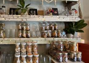 Beach Shops
